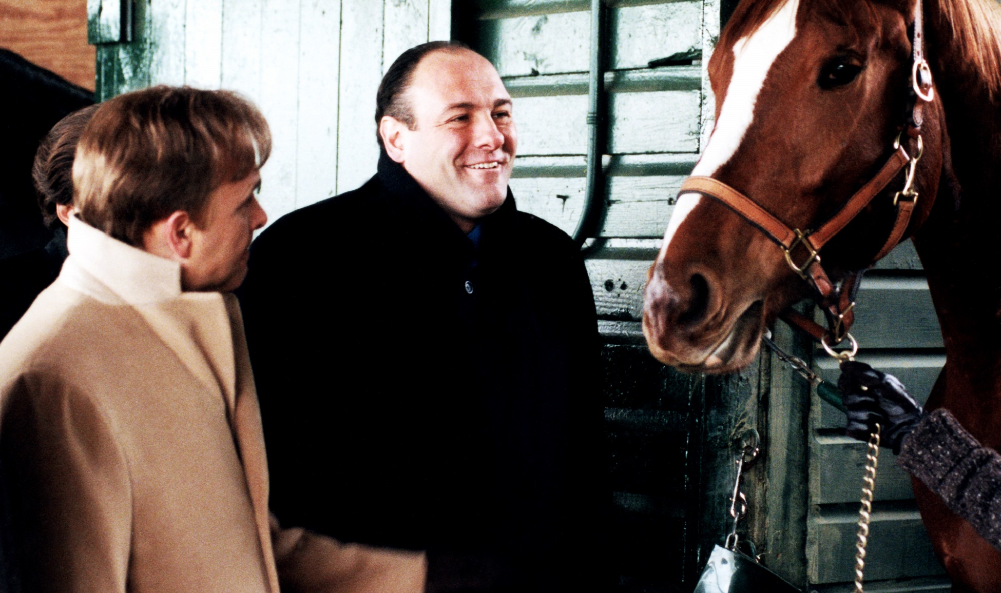 Article 284424 Hero Image