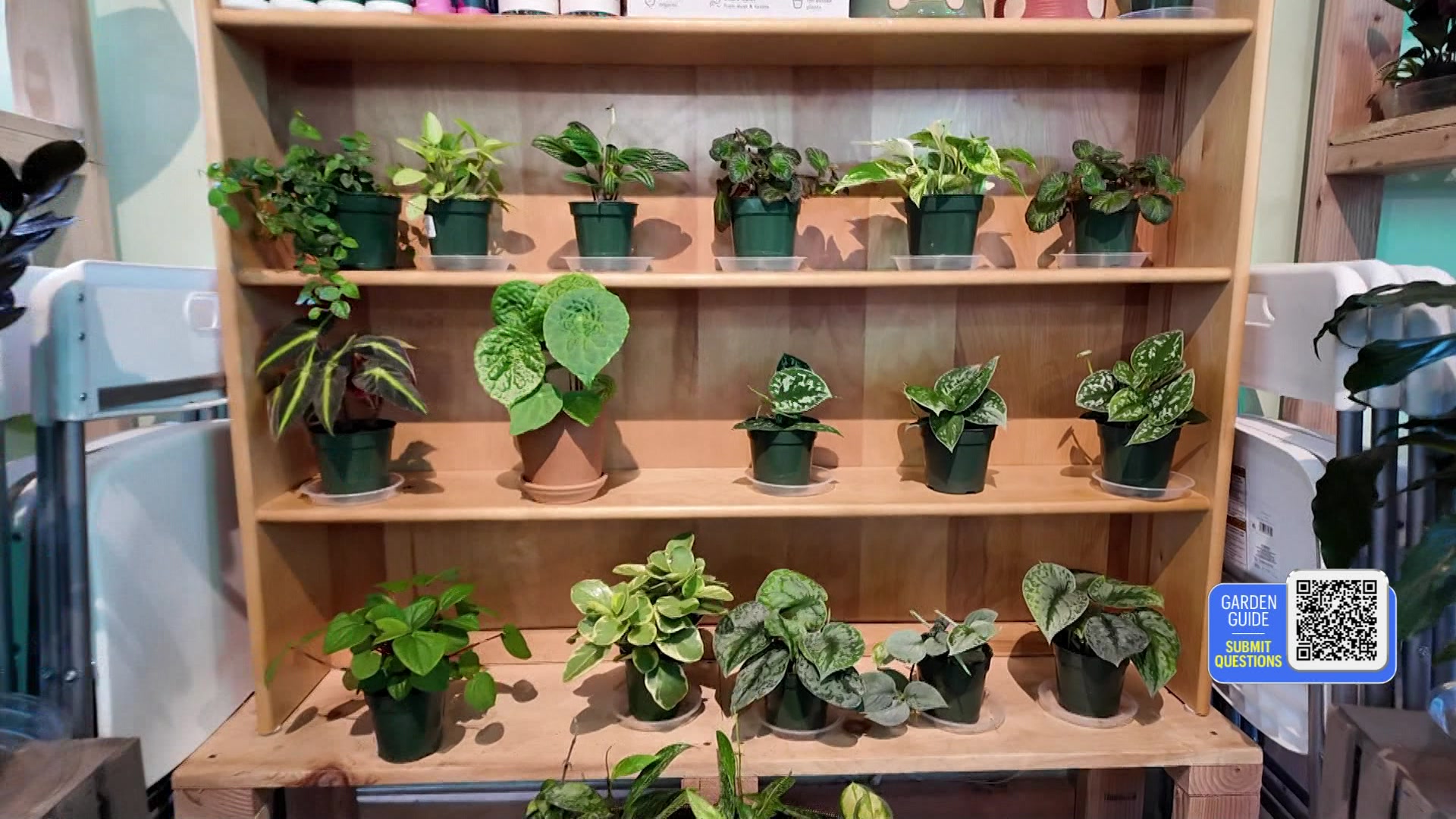 LIGARDENGUIDE32526_2026-03-25-05-59-53