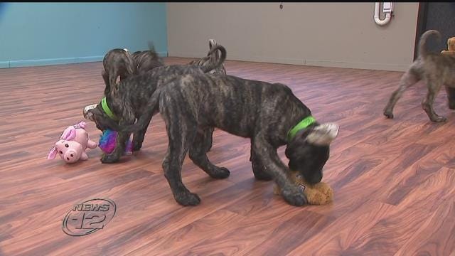 Article 49830 Thumbnail