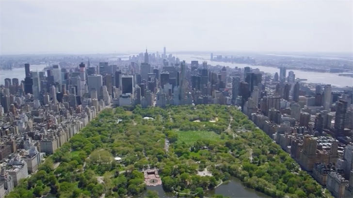 Article 22716 Thumbnail