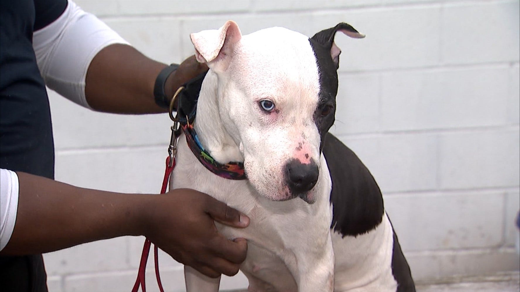 Article 19808 Thumbnail