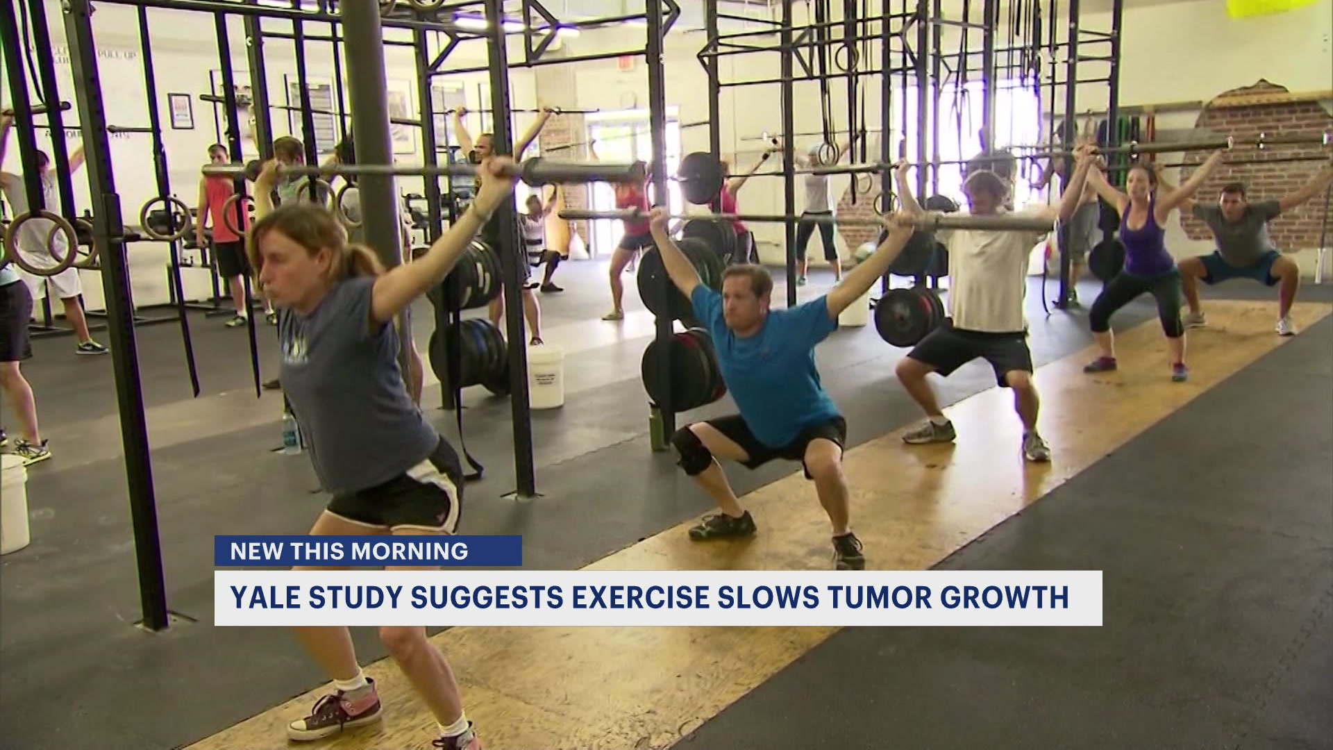 Mark6aml219_2026-02-19-06-10-21