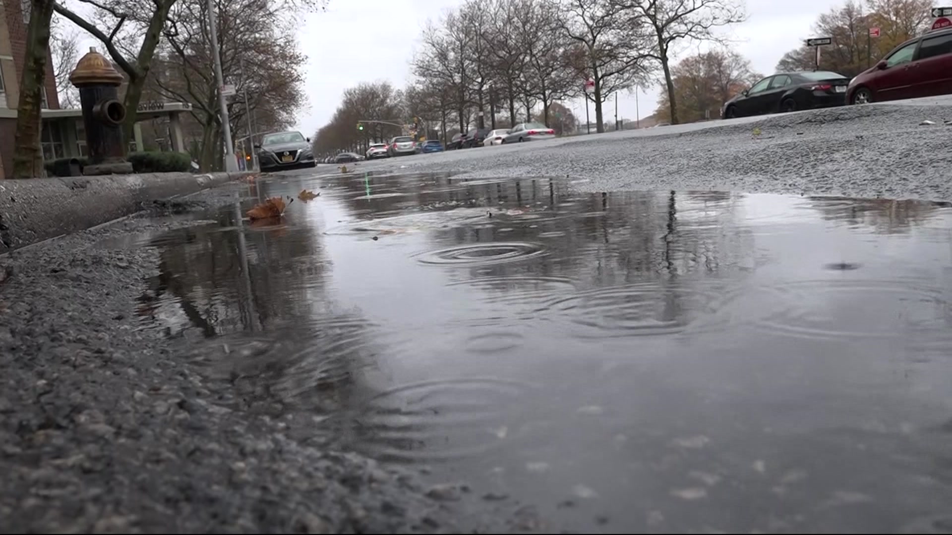 gloomy-weather-causes-wet-and-windy-driving-conditions-in-brooklyn