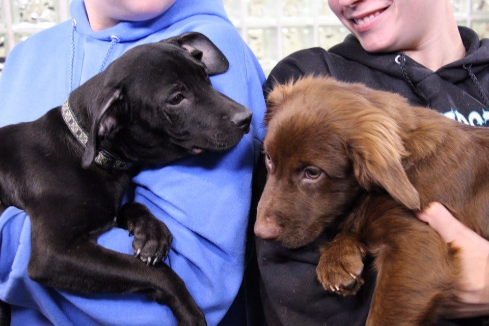 Article 141503 Thumbnail