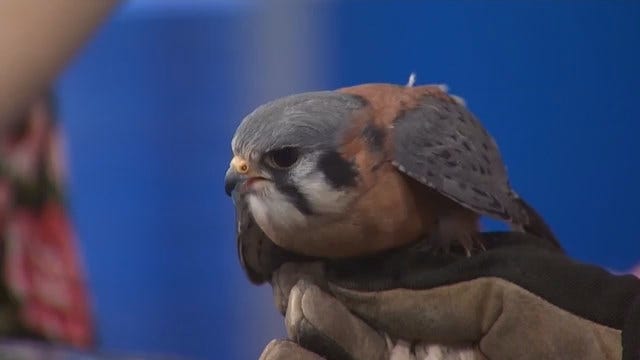 Article 4345 Thumbnail