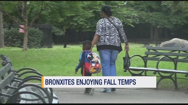 Article 146536 Thumbnail