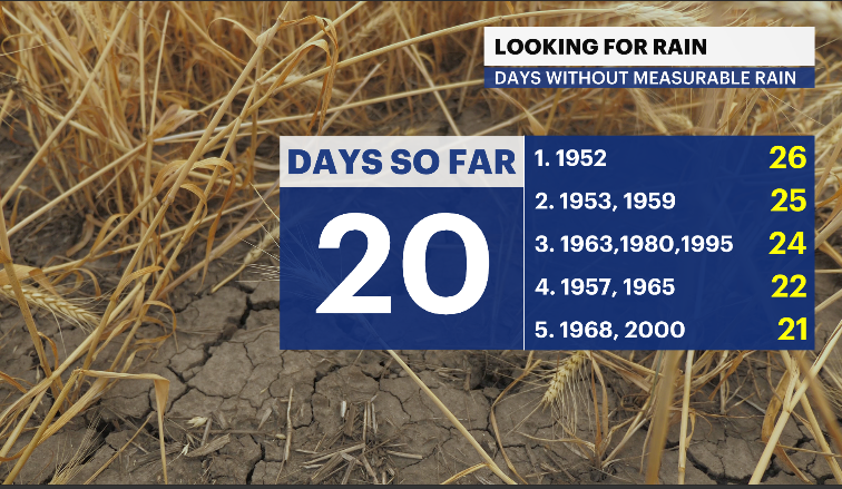 Looking for Rain CT.PNG