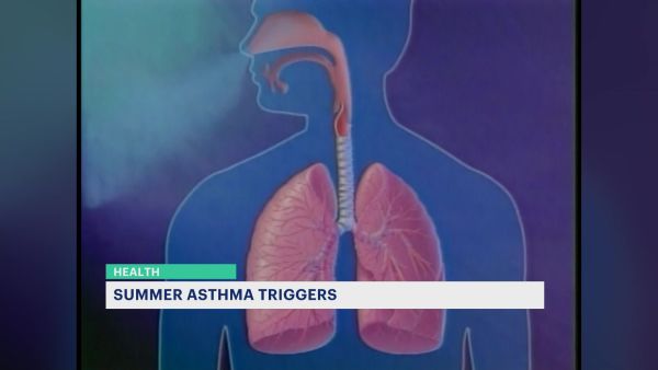 Pulmonologists Asthma Sufferers Should Keep Track Of Environmental Triggers