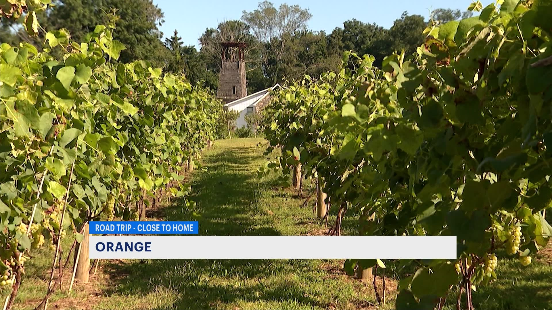 New Stappa Vineyard opens in Orange