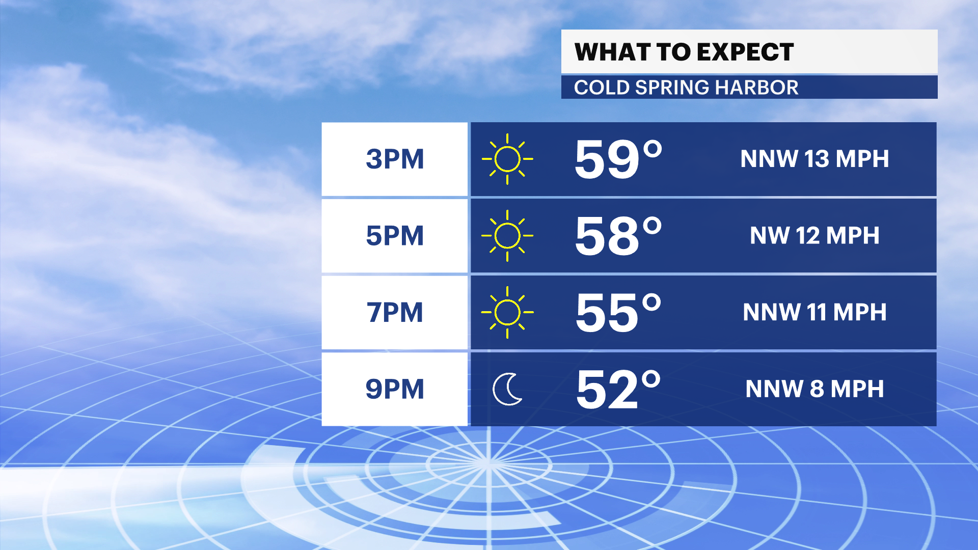 LI hourly planner