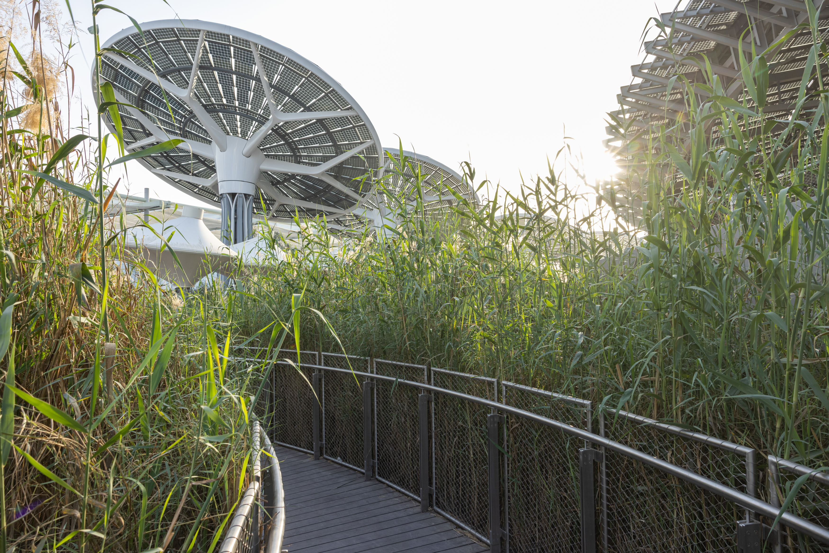 Along with a green terrace, Terra’s landscape creates a microclimate. The cooler temperature reduces the ‘urban heat island’ effect, and therefore the building’s cooling requirements. 