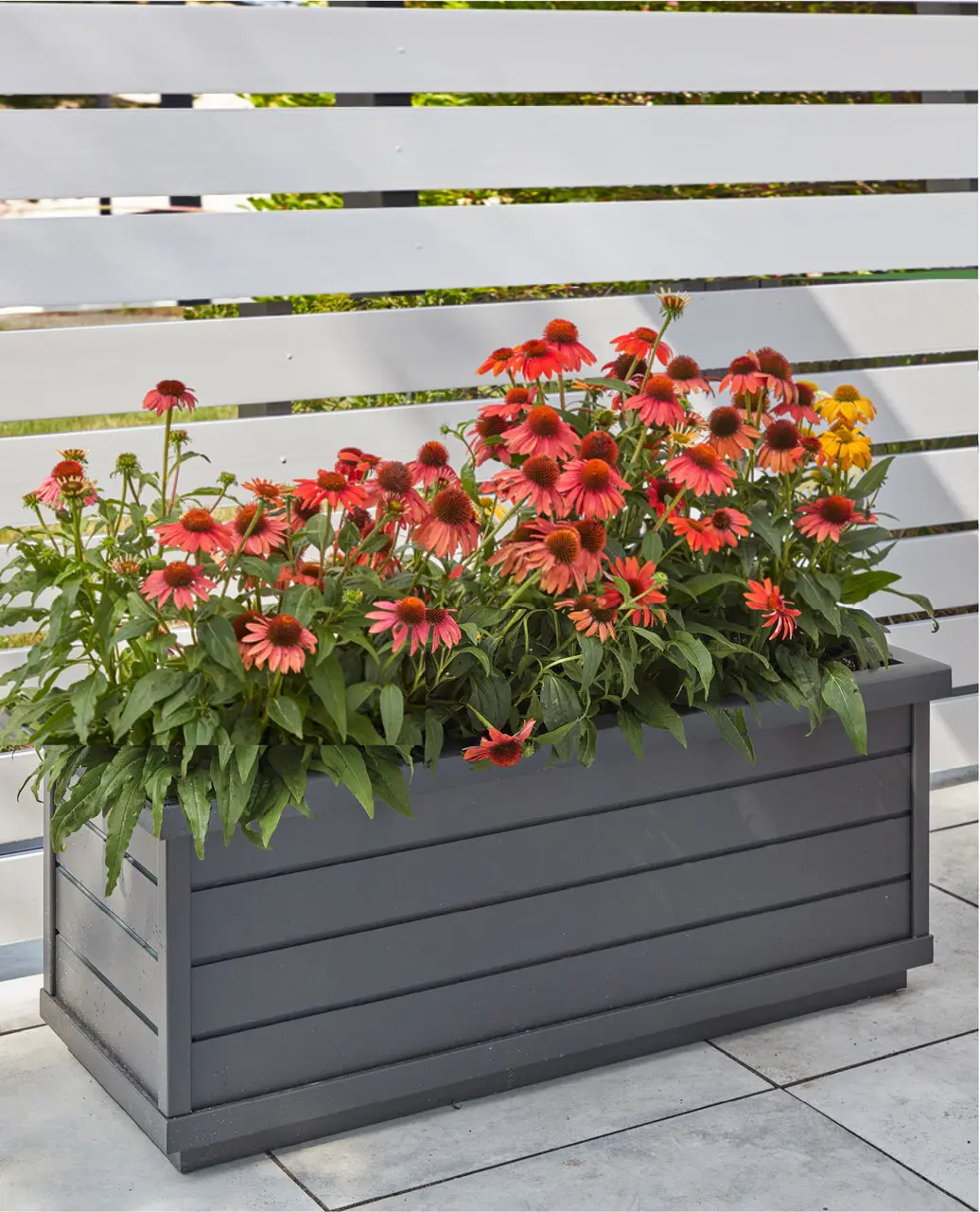 The Wimberley Rectangular Planter is a sleek, low-maintenance vinyl planter with a natural wood look, perfect for enhancing outdoor spaces.