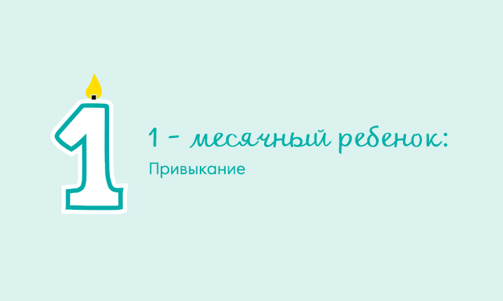 Один день из жизни месячного ребенка Один день из жизни месячного ребенка