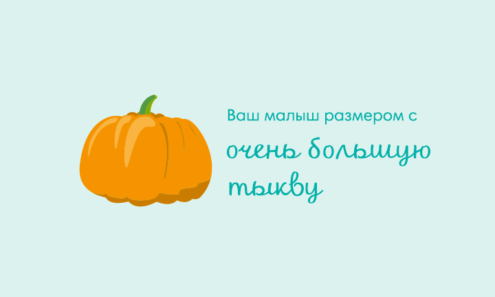 Your baby is the size of a pumpkin Your baby is the size of a pumpkin