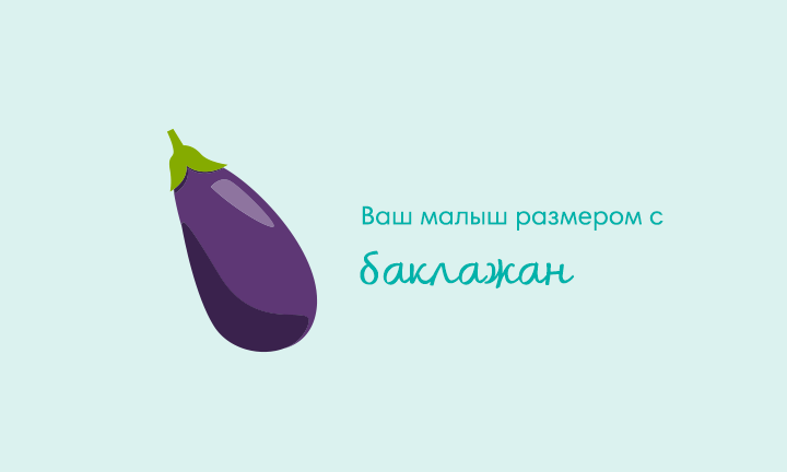 Your baby is the size of an eggplant Your baby is the size of an eggplant