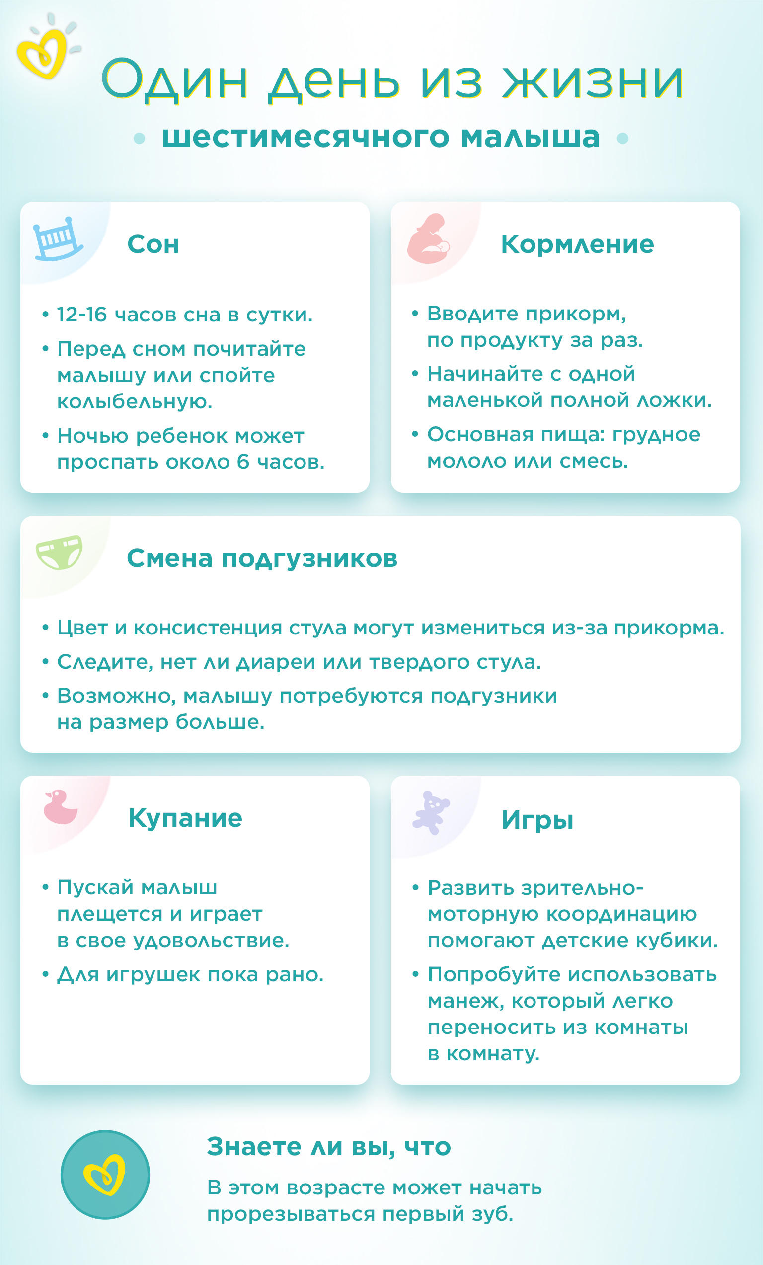6 month old Daily Routine Infographic RU 1536