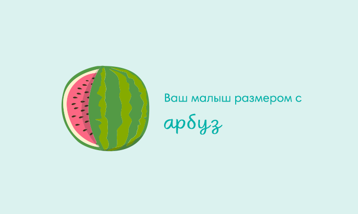 Your baby is the size of a watermelon Your baby is the size of a watermelon