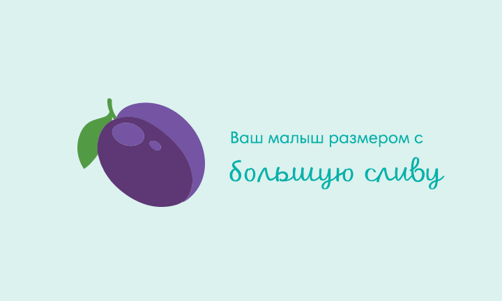 Your baby is the size of a large plum Your baby is the size of a large plum