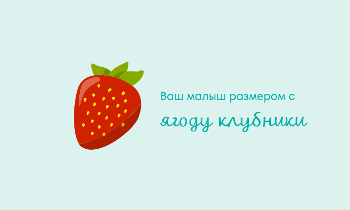 Your baby is the size of a strawberry Your baby is the size of a strawberry
