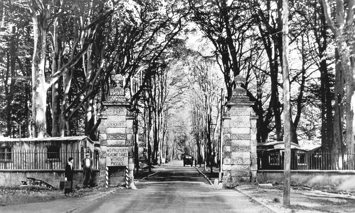 Savernake Forest 