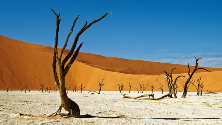 Colorful Landscapes - Deadvlei in Namibia