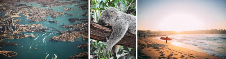 Australien Sydney Koala Strand