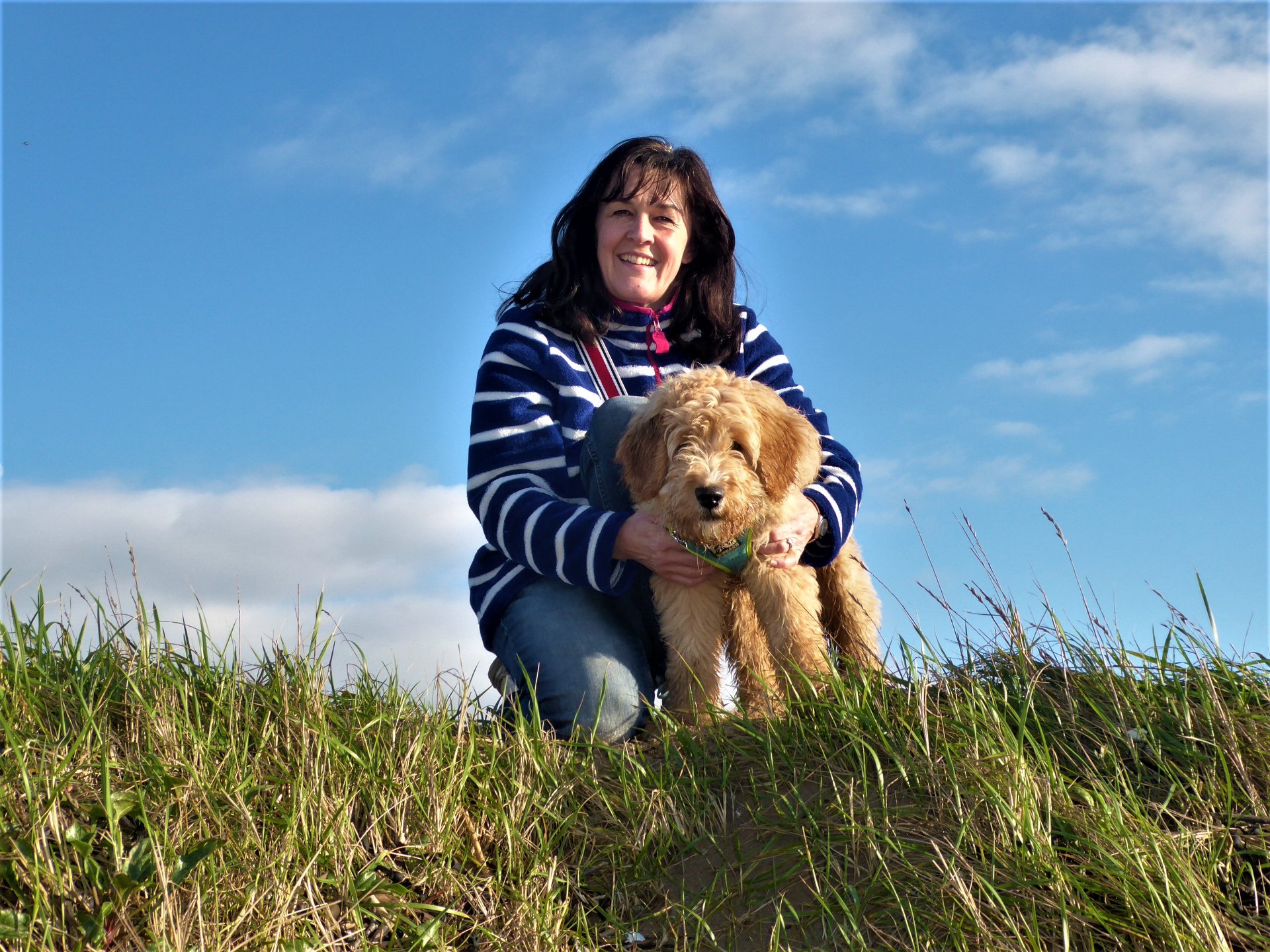 barney labradoodle and alison at 5 months