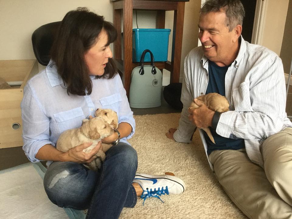 tony and alison choosing barney labradoodle