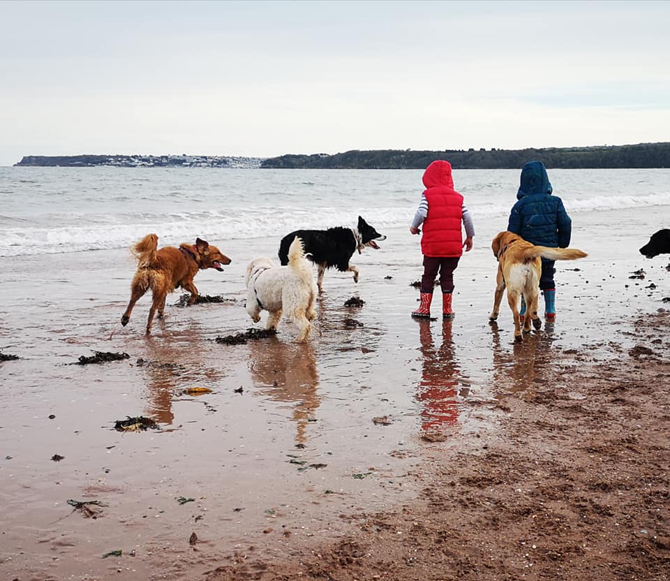 children and labradoodles on beach