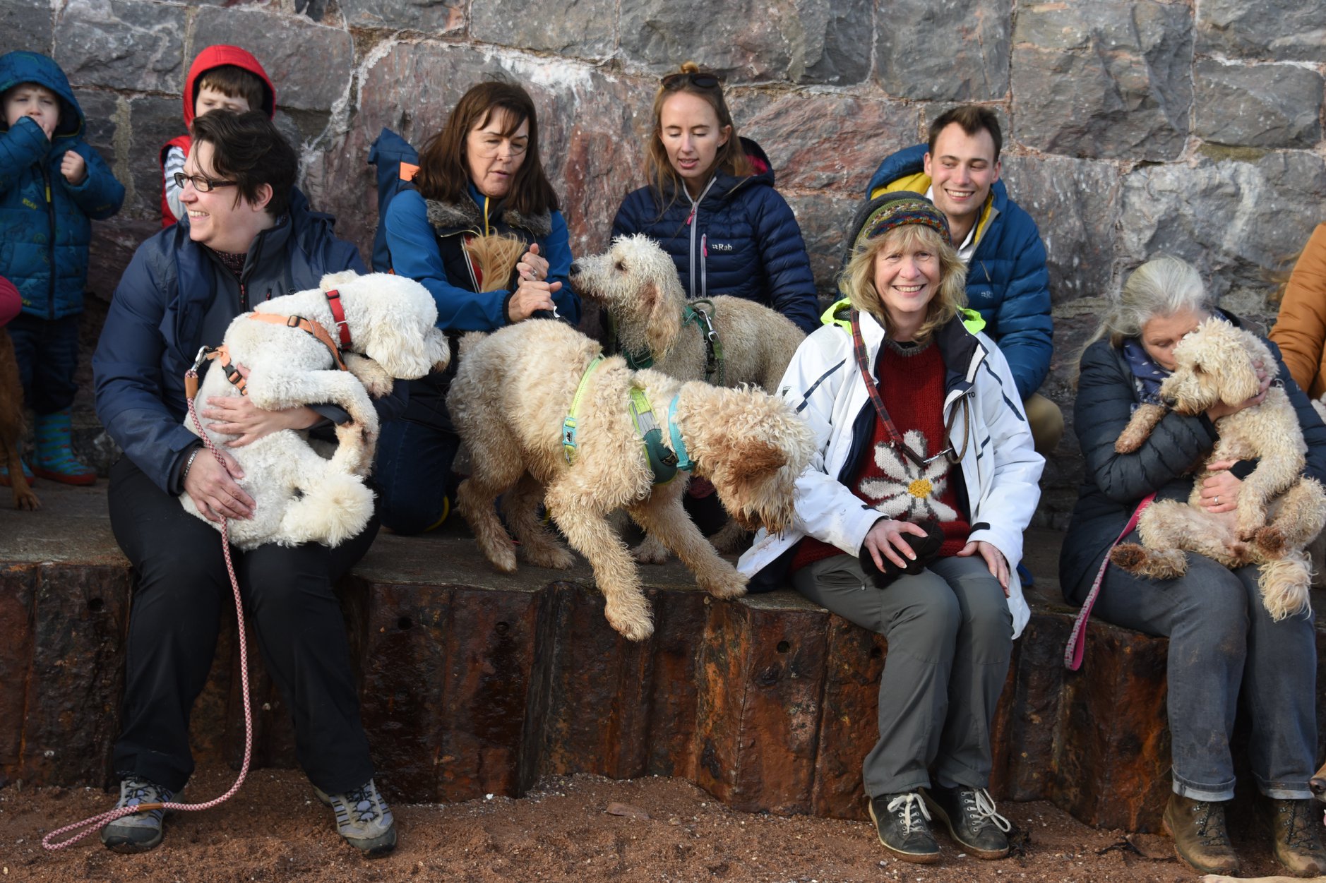 lots of people and dogs sitting on wall