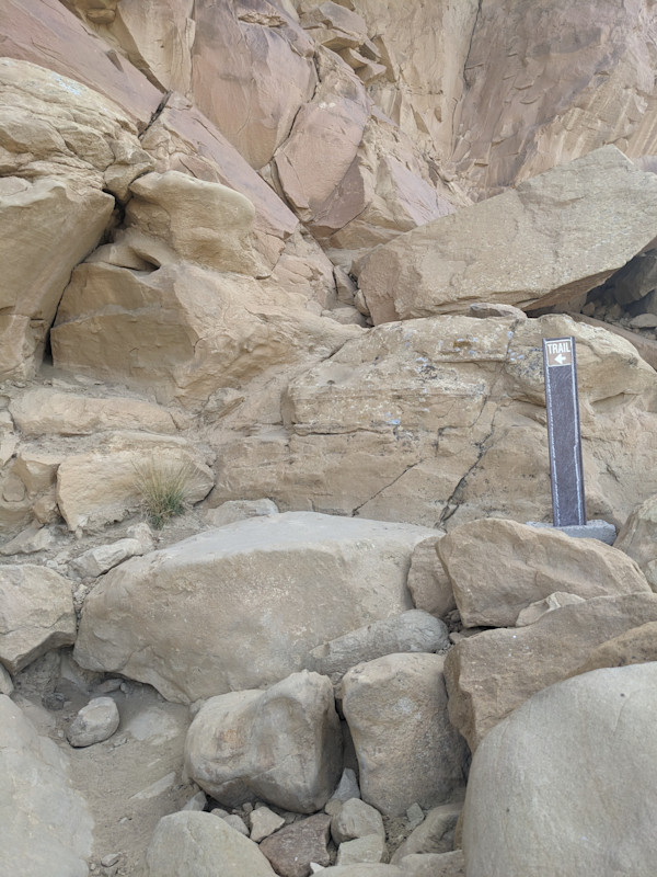 Trail goes up these rocks, ok?