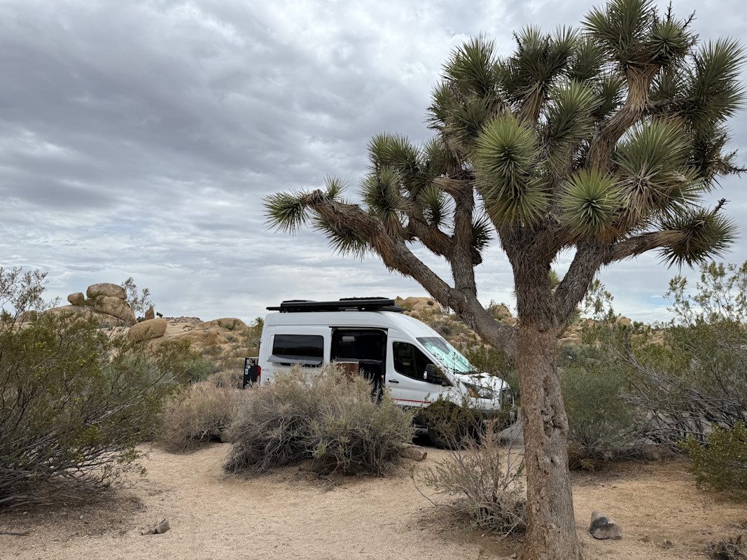 Two Days in Joshua Tree National Park