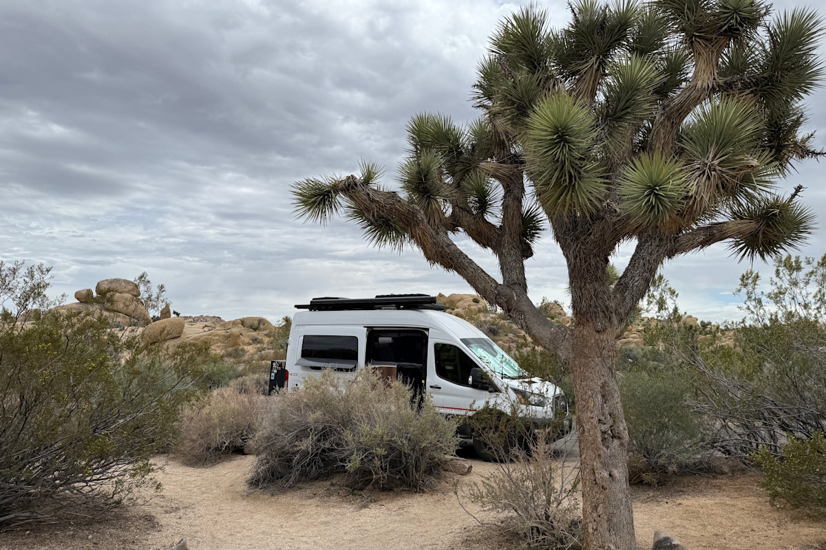 Two Days in Joshua Tree National Park