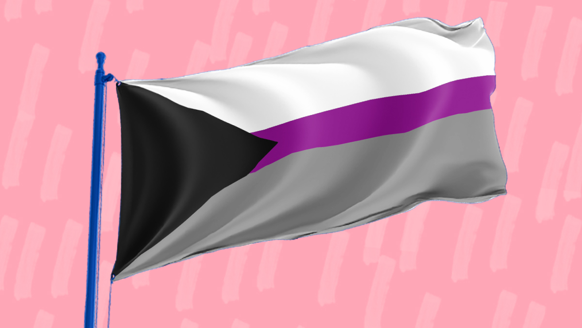 Demisexual Pride Flag