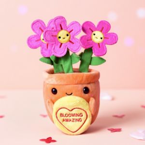 Under €30 Mother's Day Gifts