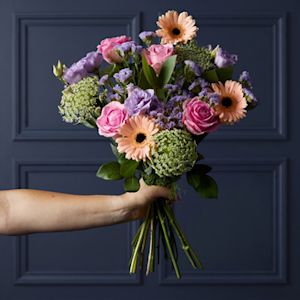 All Flowers & Plants 