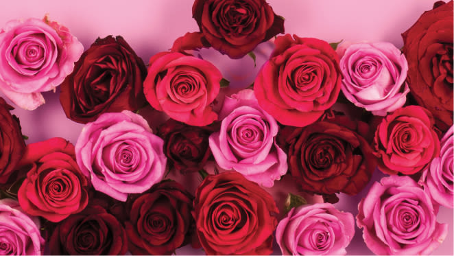 Valentine's Day Flowers | Red Roses, Rainbow Lilies & Letterbox Flowers ...