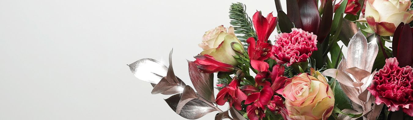 Flowers Plants Letterbox Next Day Delivery Flowers Plants Letterbox Next Day Delivery