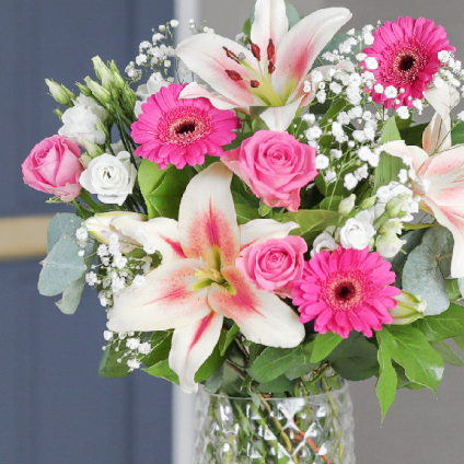 Flowers & Plants | Letterbox Flowers | Next Day Delivery ...