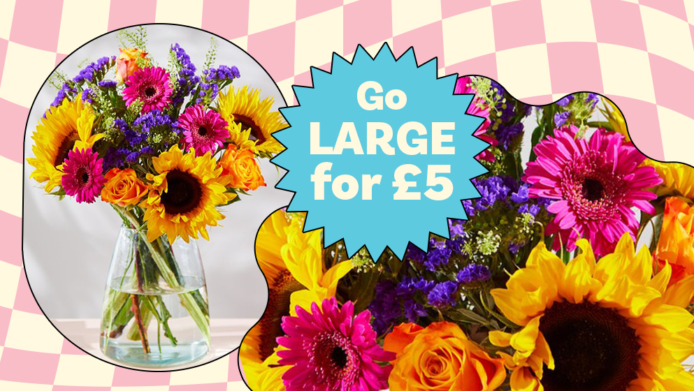 Letterbox Flowers & Plants Next Day Delivery Moonpig