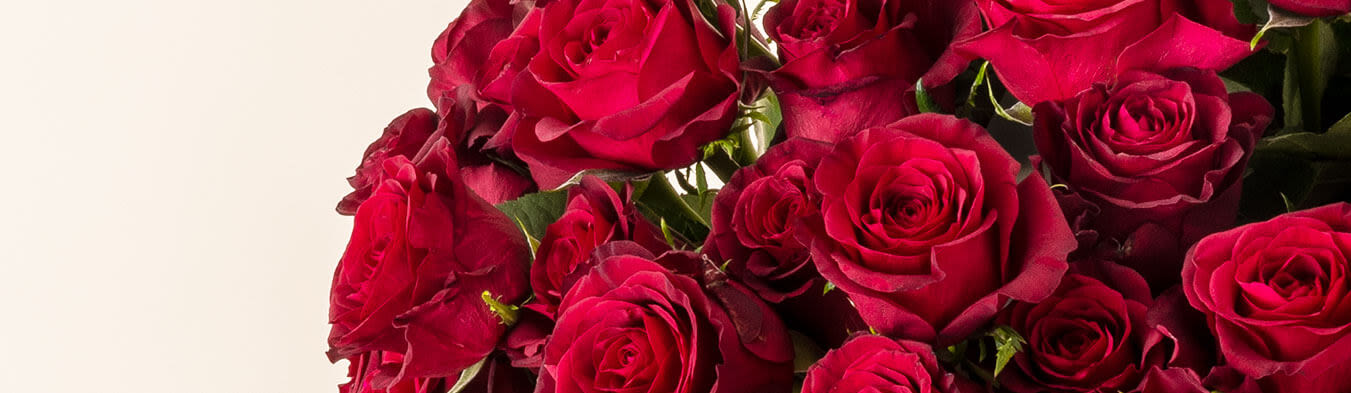 Valentine S Day Flowers Red Roses Rainbow Lilies Letterbox Flowers Moonpig