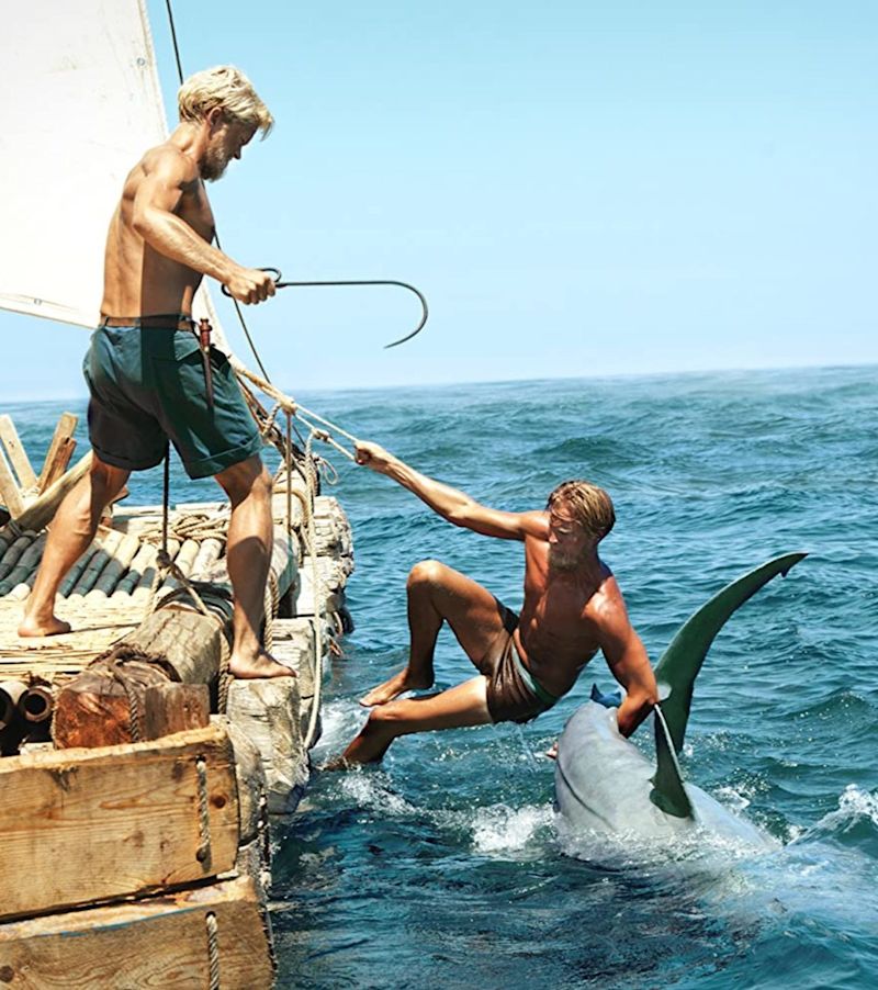 5 Not-So-Conventional Shark Movies | A.frame