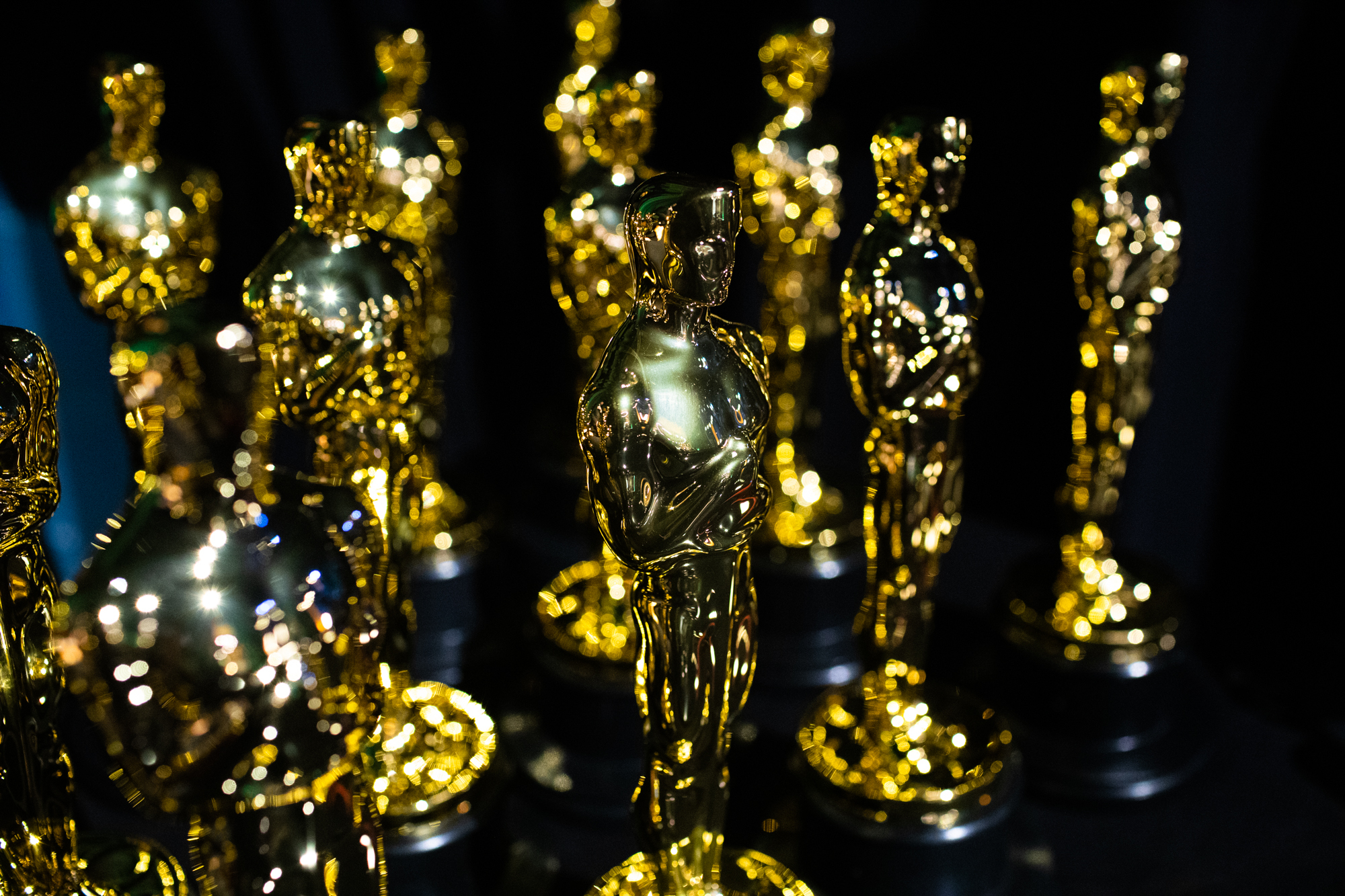 Oscars Voting 101 How It Works and Who Gets to Vote Academy Newsletter