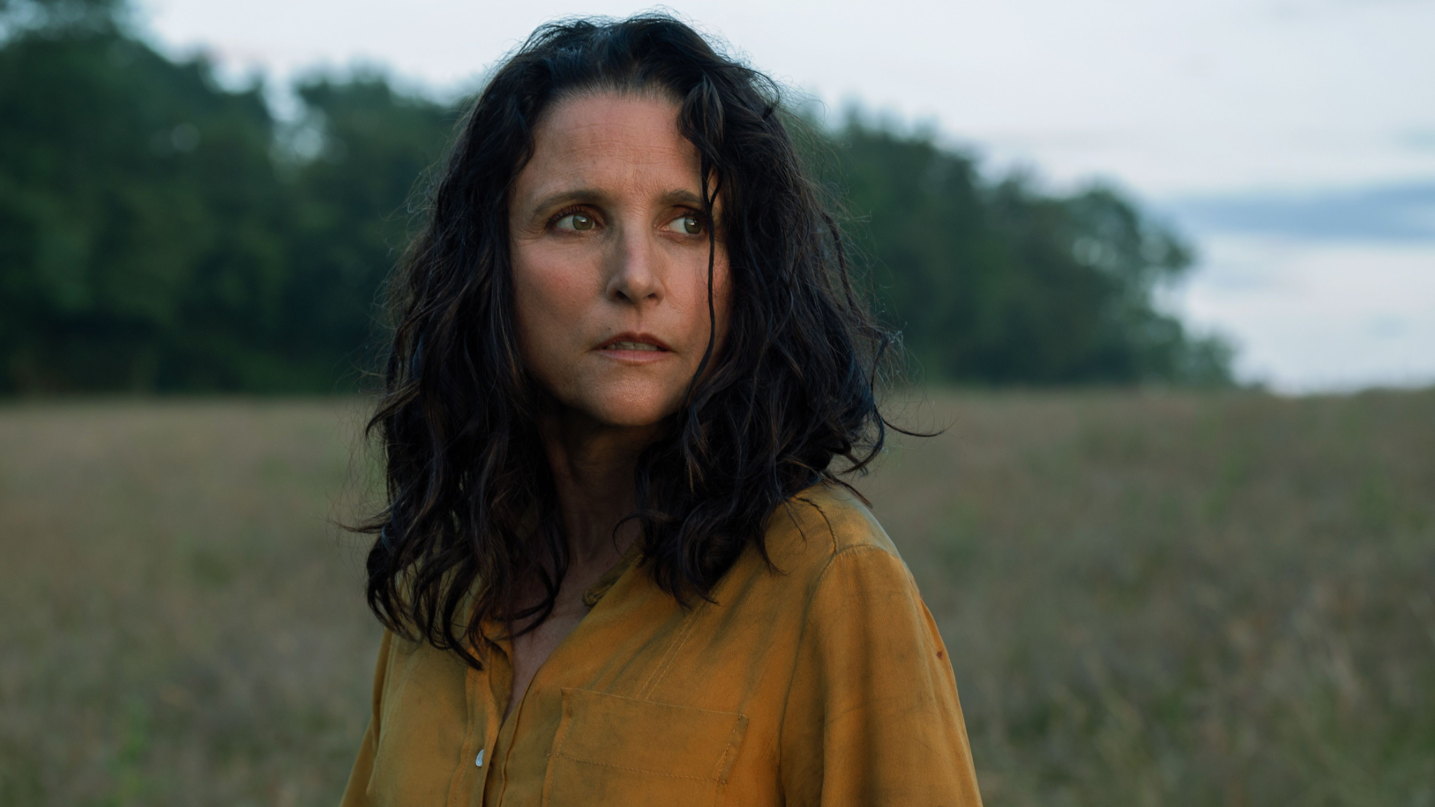 Julia Louis-Dreyfus, Dramatic Actress? &lsquo;I Took a Leap of Faith, and I&rsquo;m
