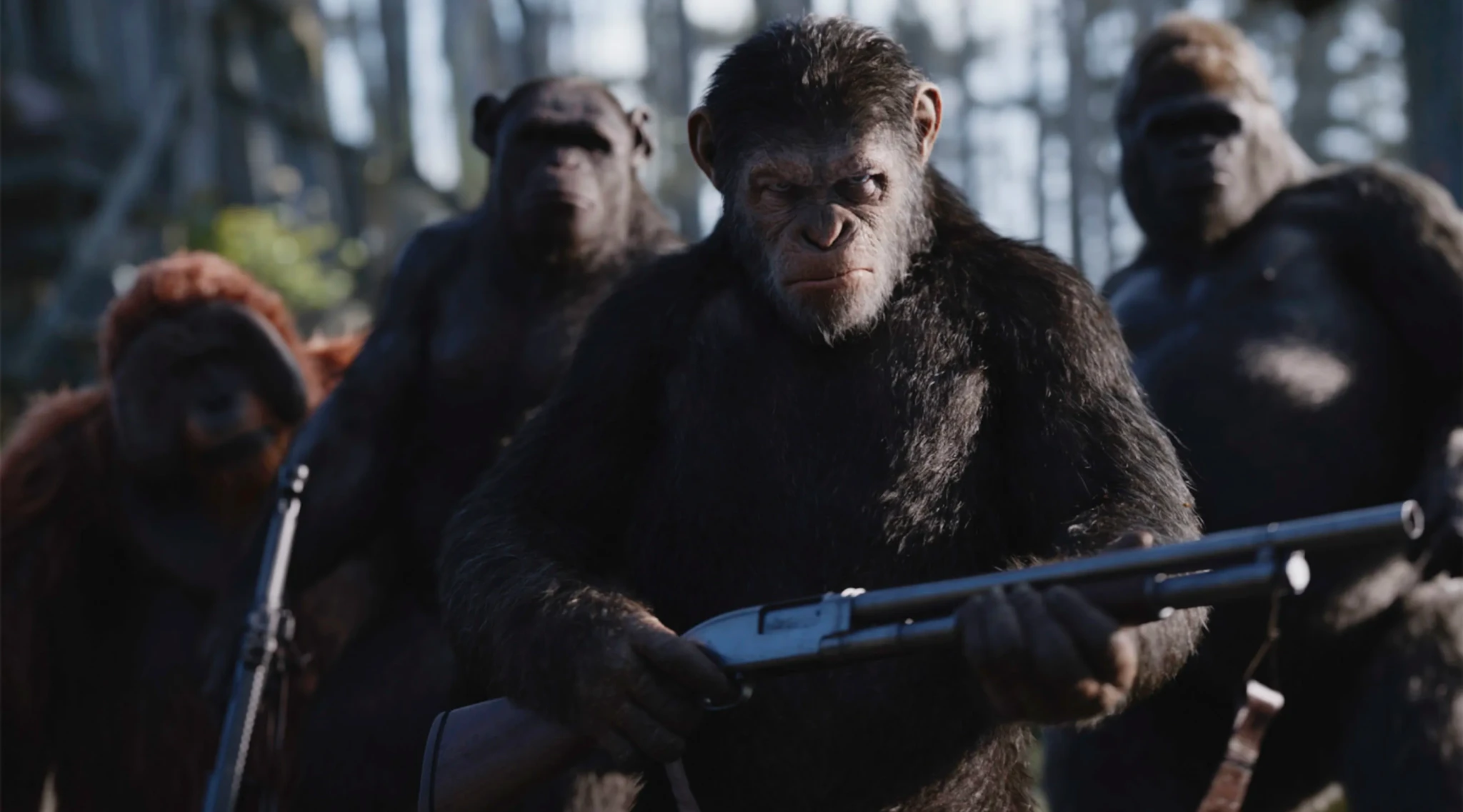 New 'Planet of the Apes' Movie Gets Official Title and First Look