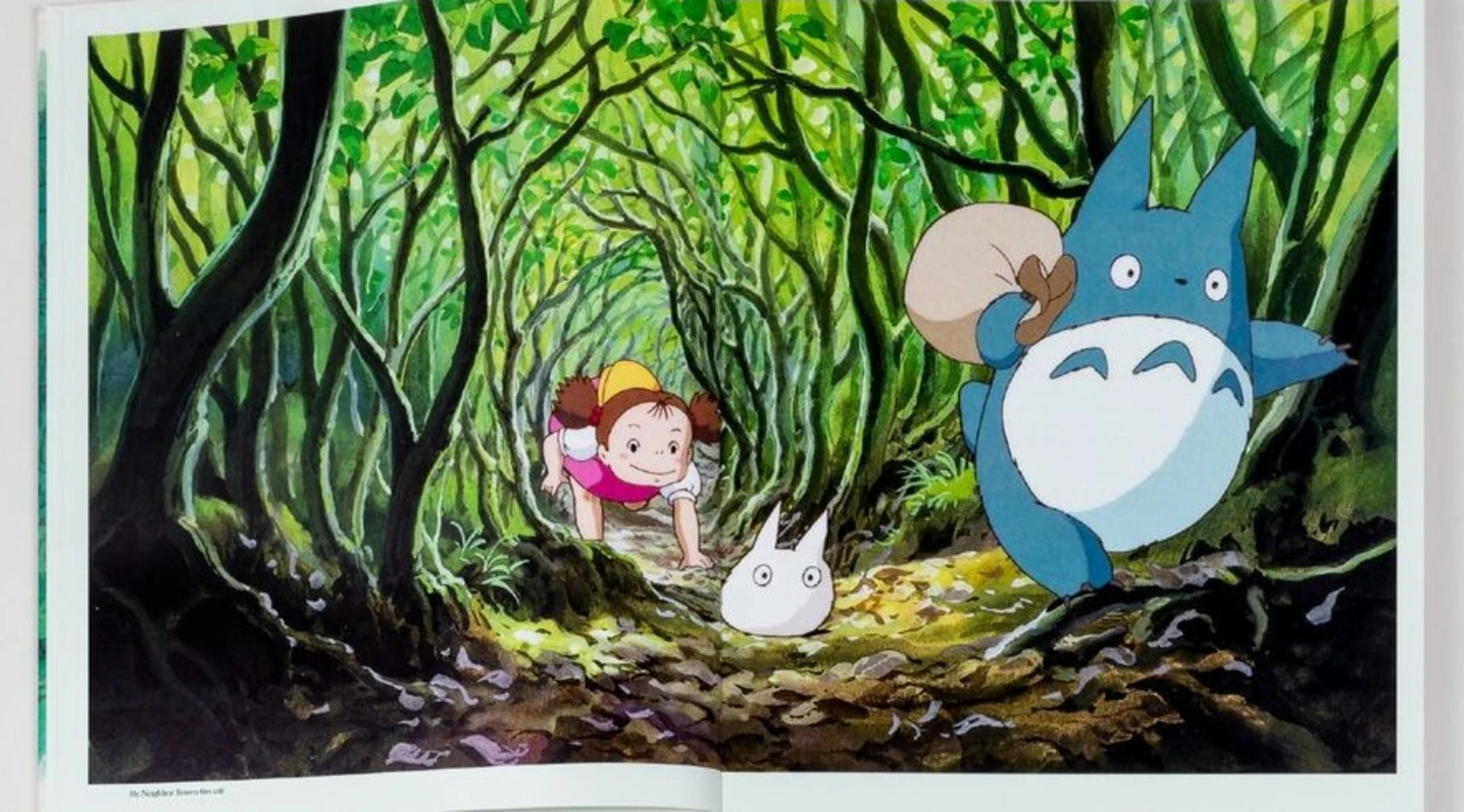 Miyazaki Enthusiasts: You're Gonna Want This Book