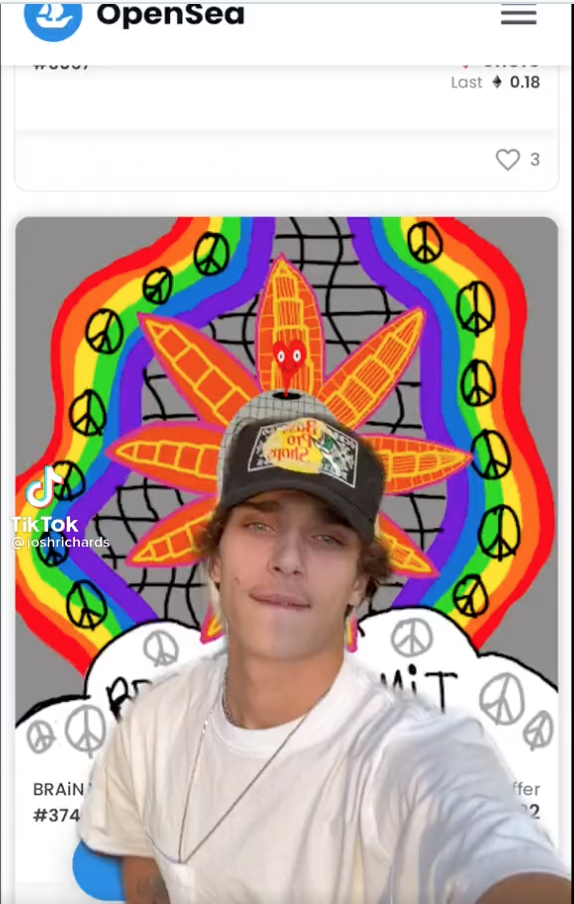 Josh Richards TikTok Brain Garden Vomit 