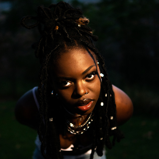 Satomaa on Budweiser Royalty NFT Project