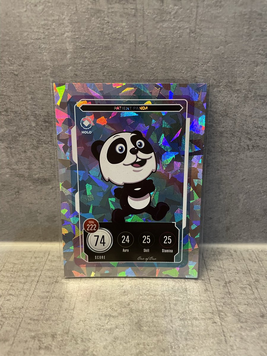 Patient Panda Holo VeeFriends Series 2 Record Sale