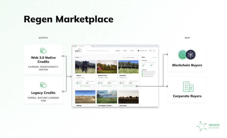 Regen Marketplace 2